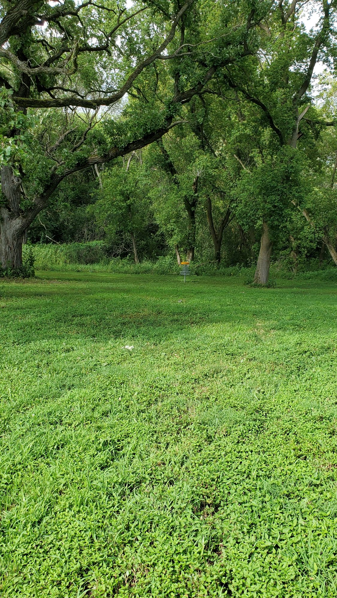 Hole 10's Green.