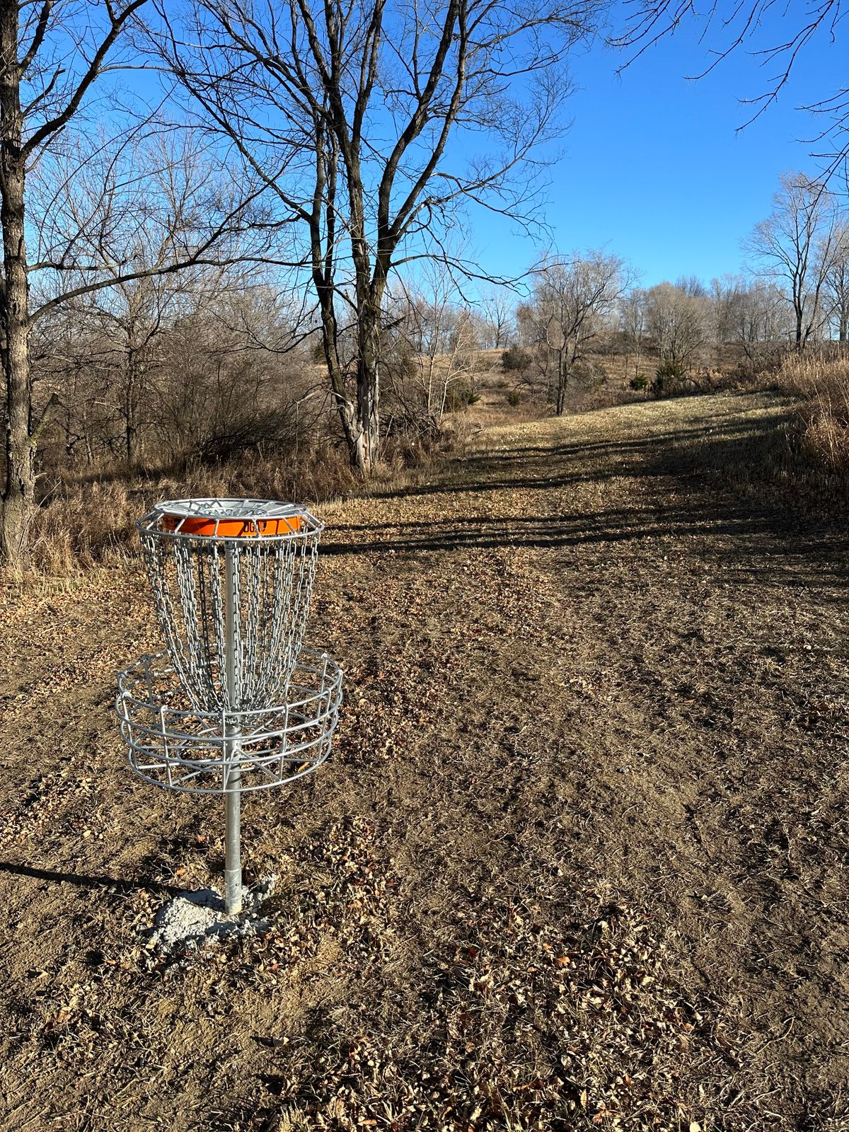 Hole 8 Basket Looking Back At Teepad.
