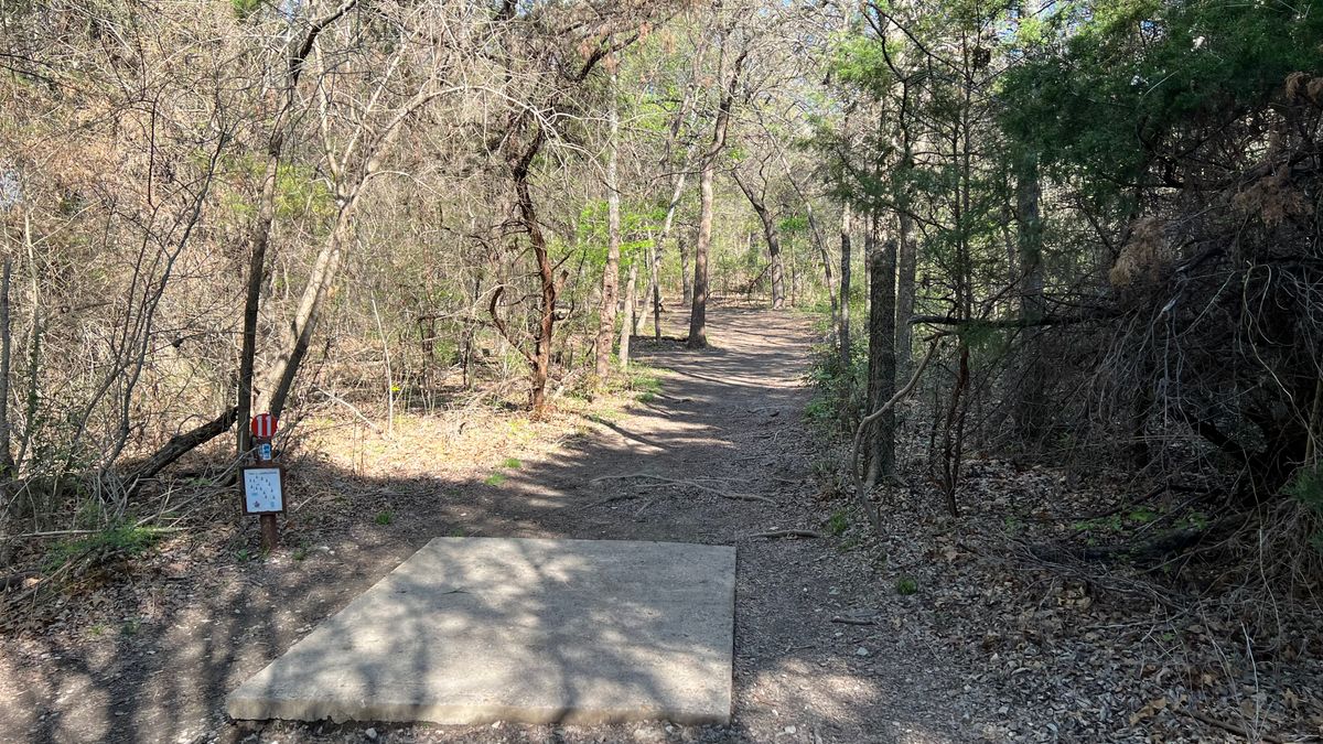 Hole 11
