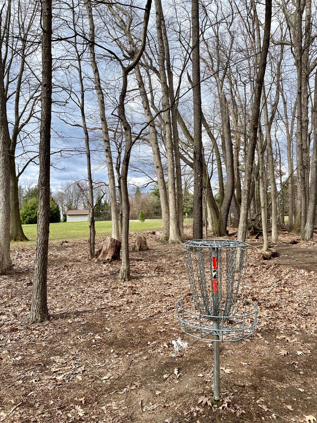 Hole 3 basket.  Looking backwards.