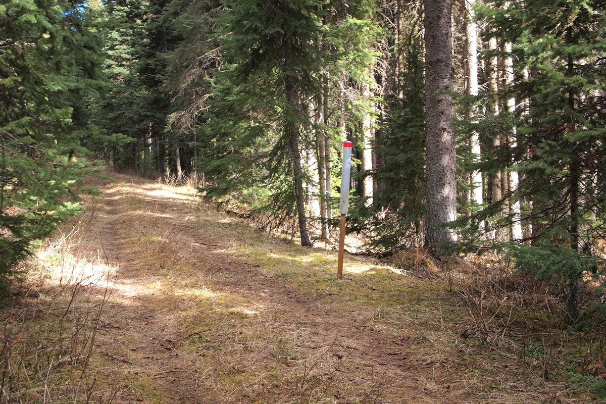The green of hole 8.