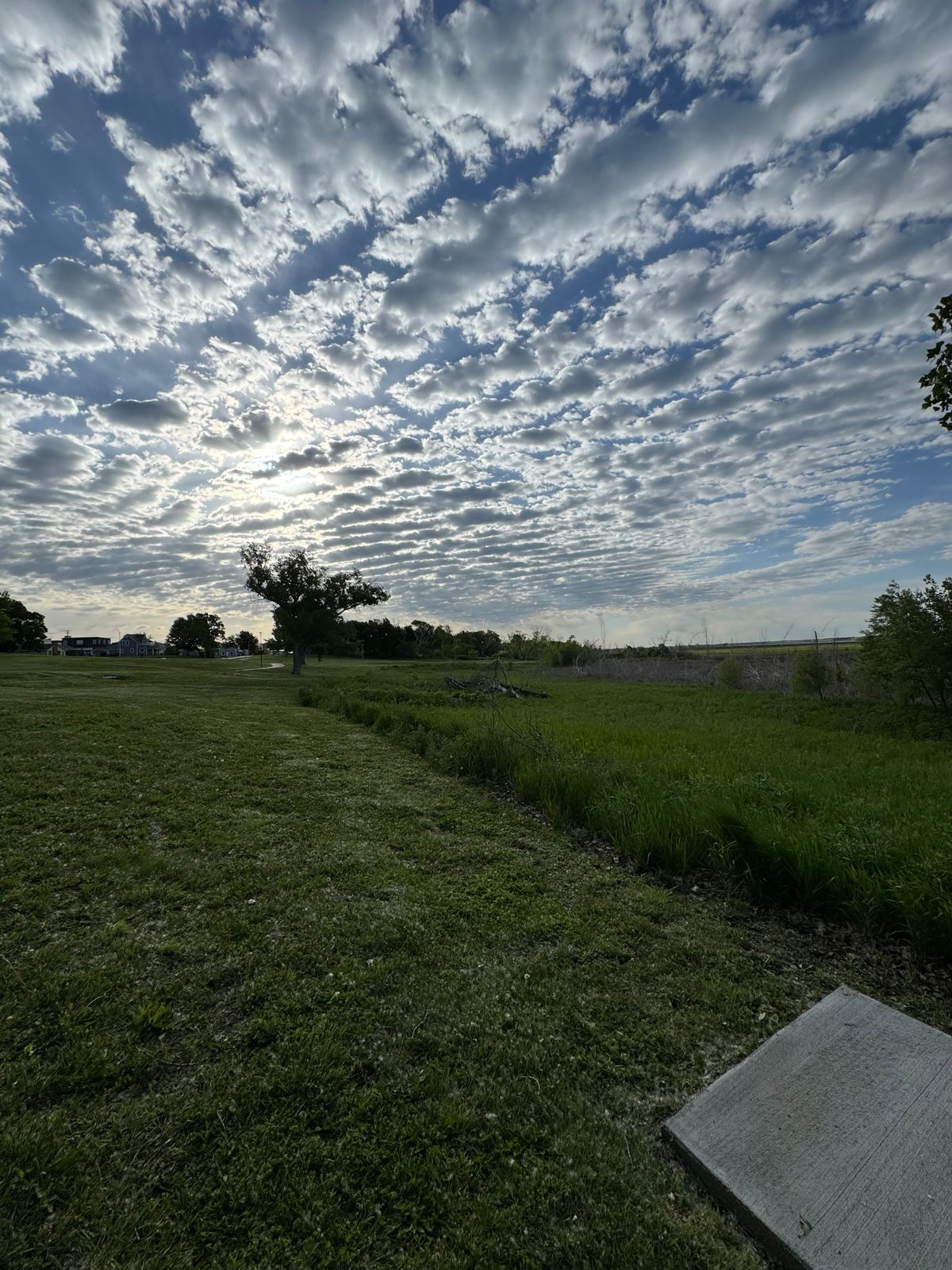 Hole 7 tee