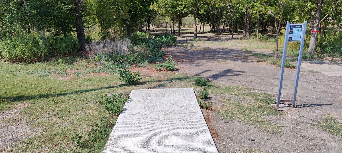 Hole 12 tee pad, you can throw this one over the top.