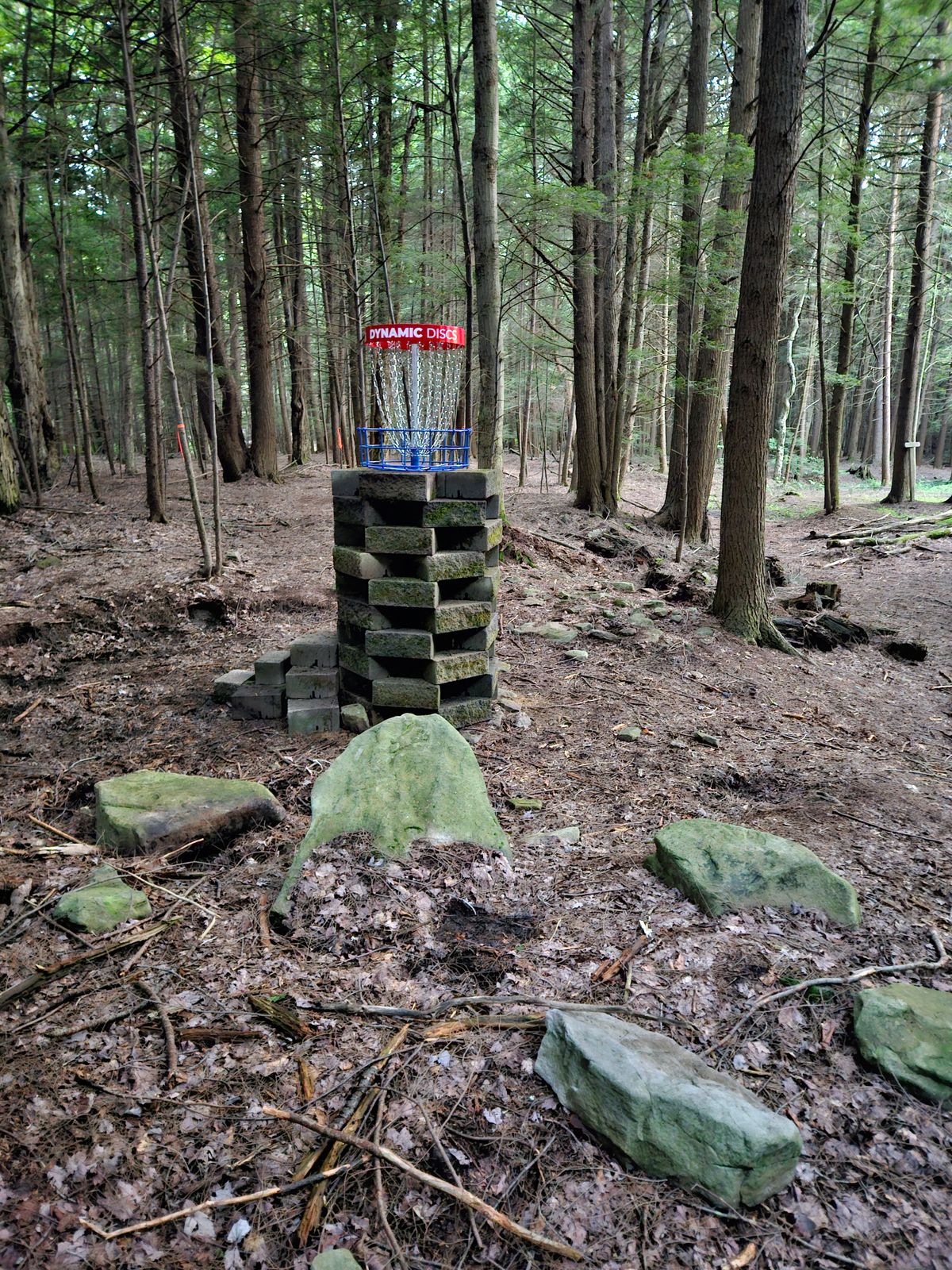 Updated Castle hole 12.