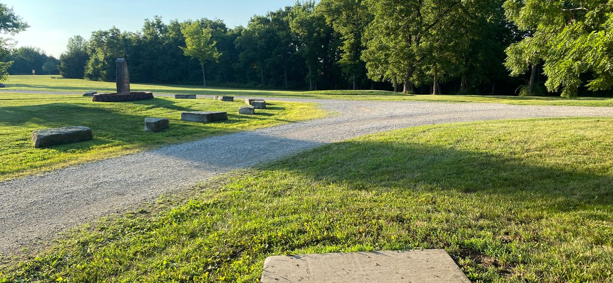 Freshly mowed