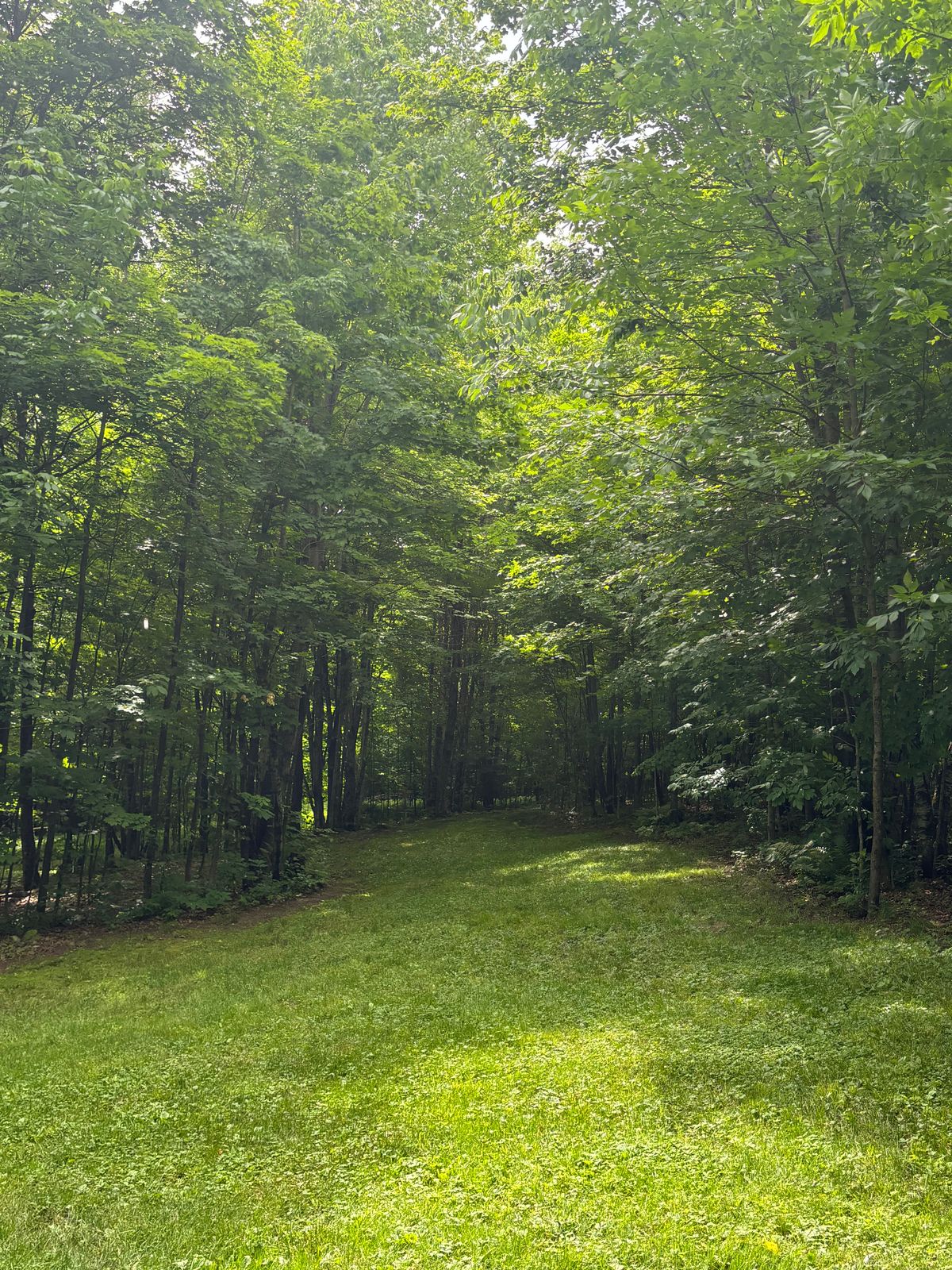 Hole 13 fairway