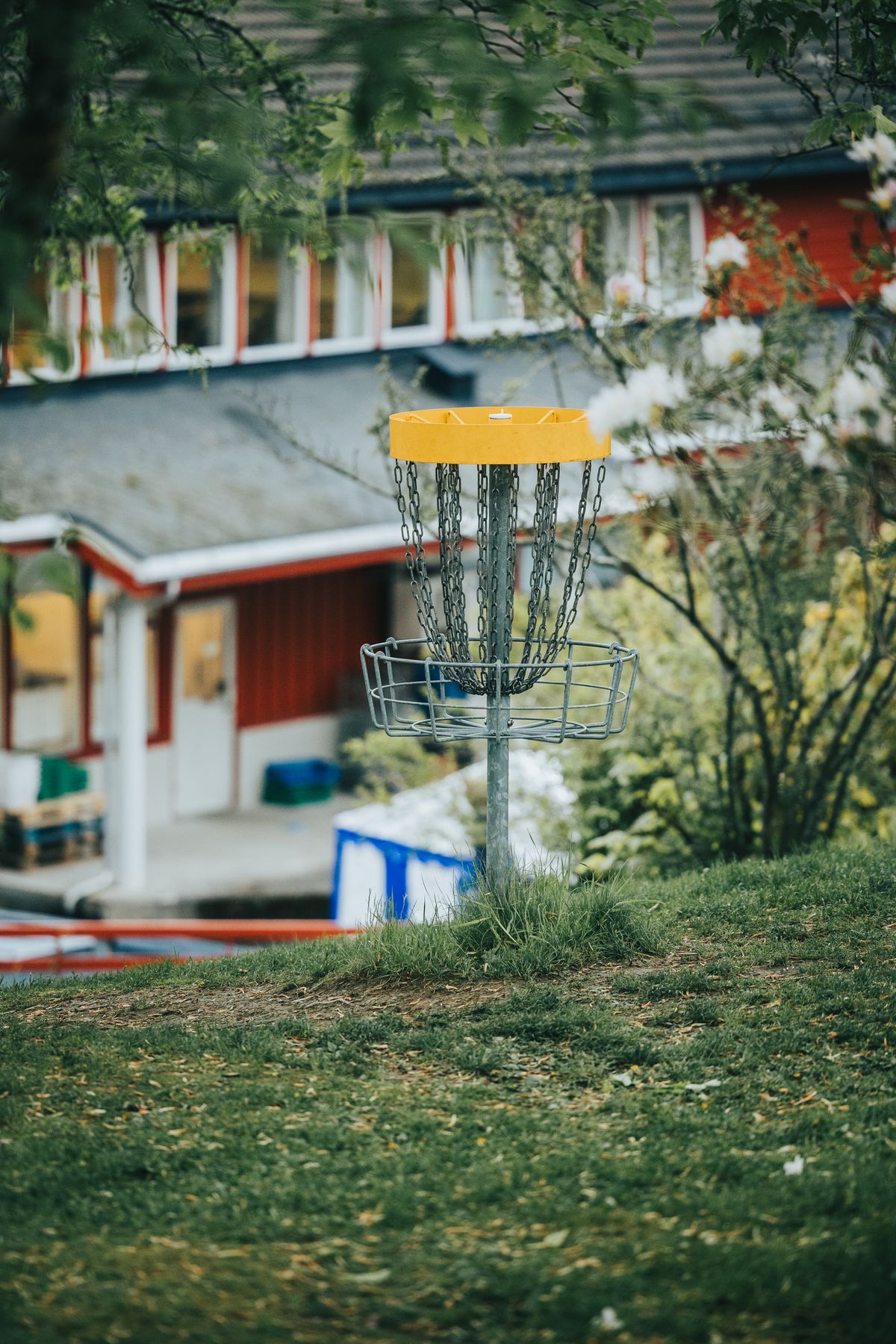 Basket