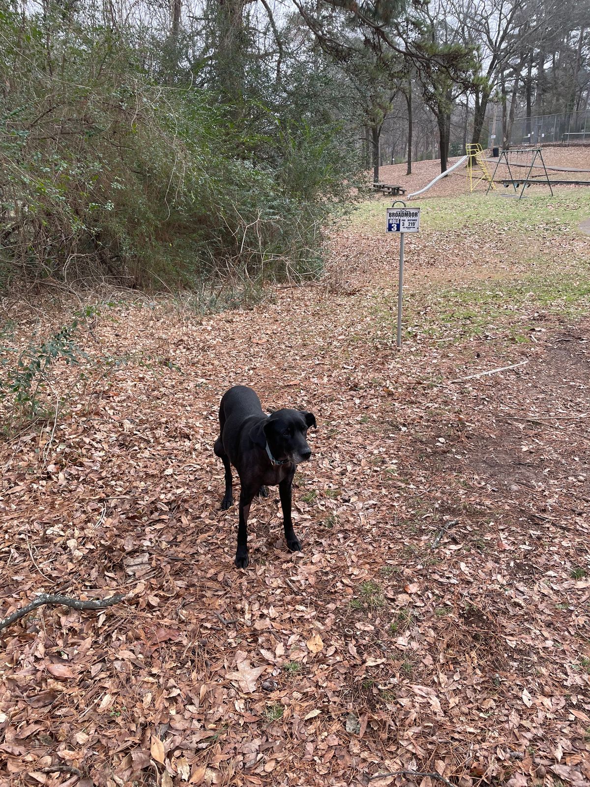 Queen Elizabeth enjoying the day out exploring a new course for us!