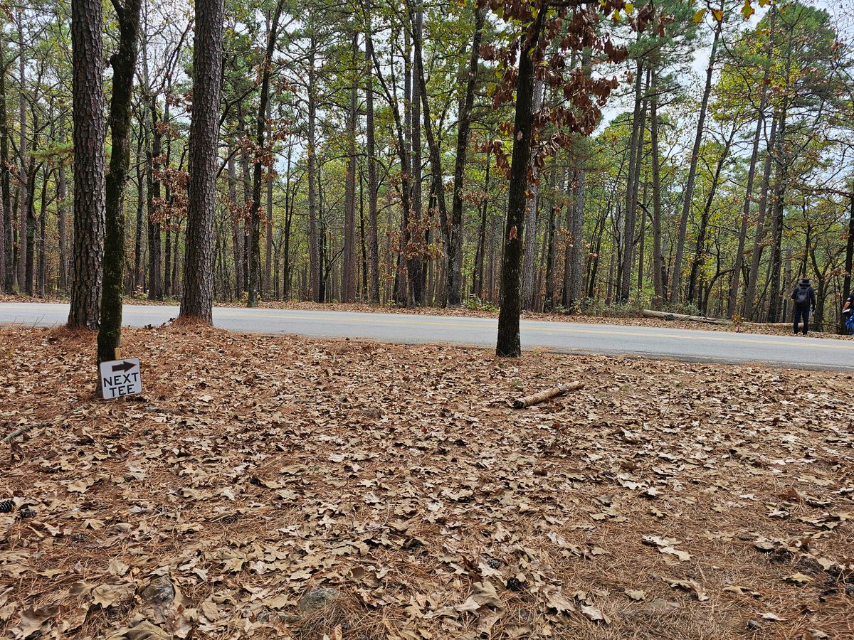 To Hole 4