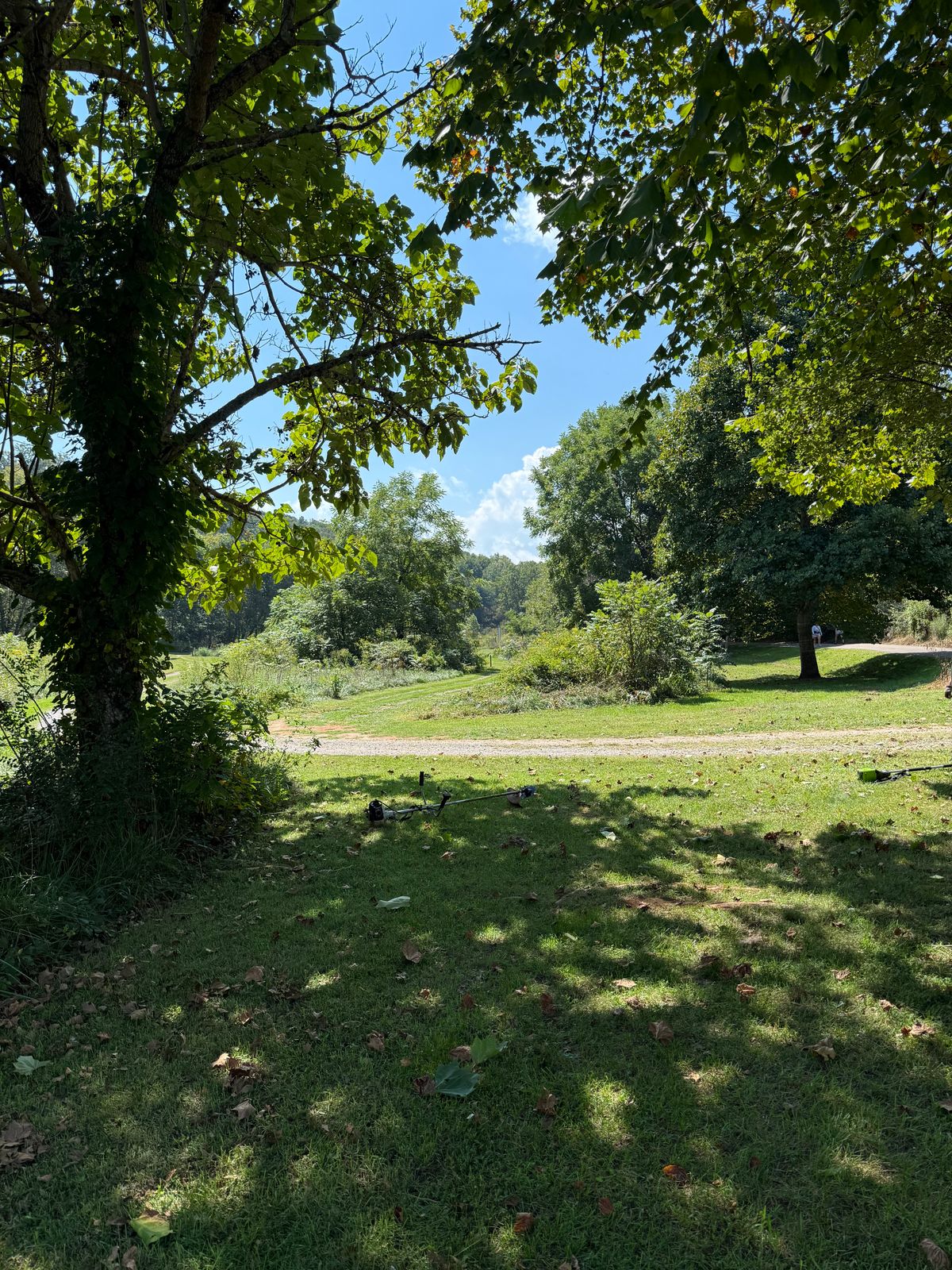 Looking towards tees for 6/15