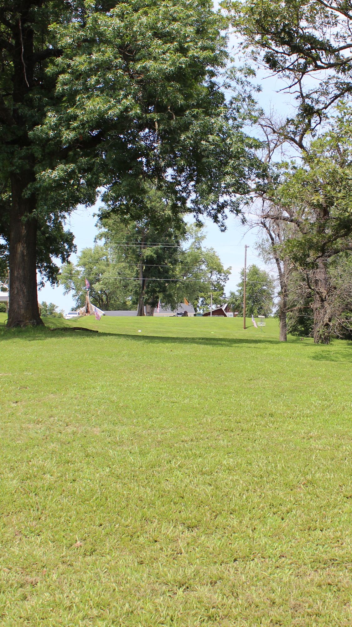 Hole 8 (Basket)