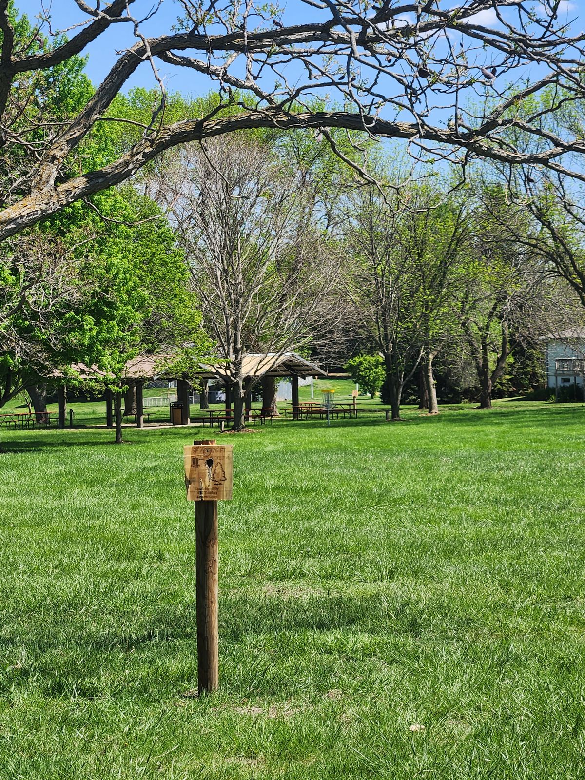 Hole 7 Tee