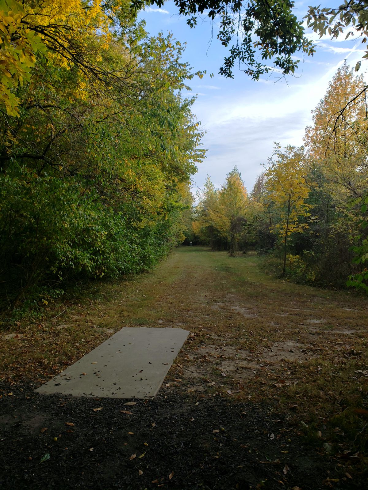 Hole 2 Fairway