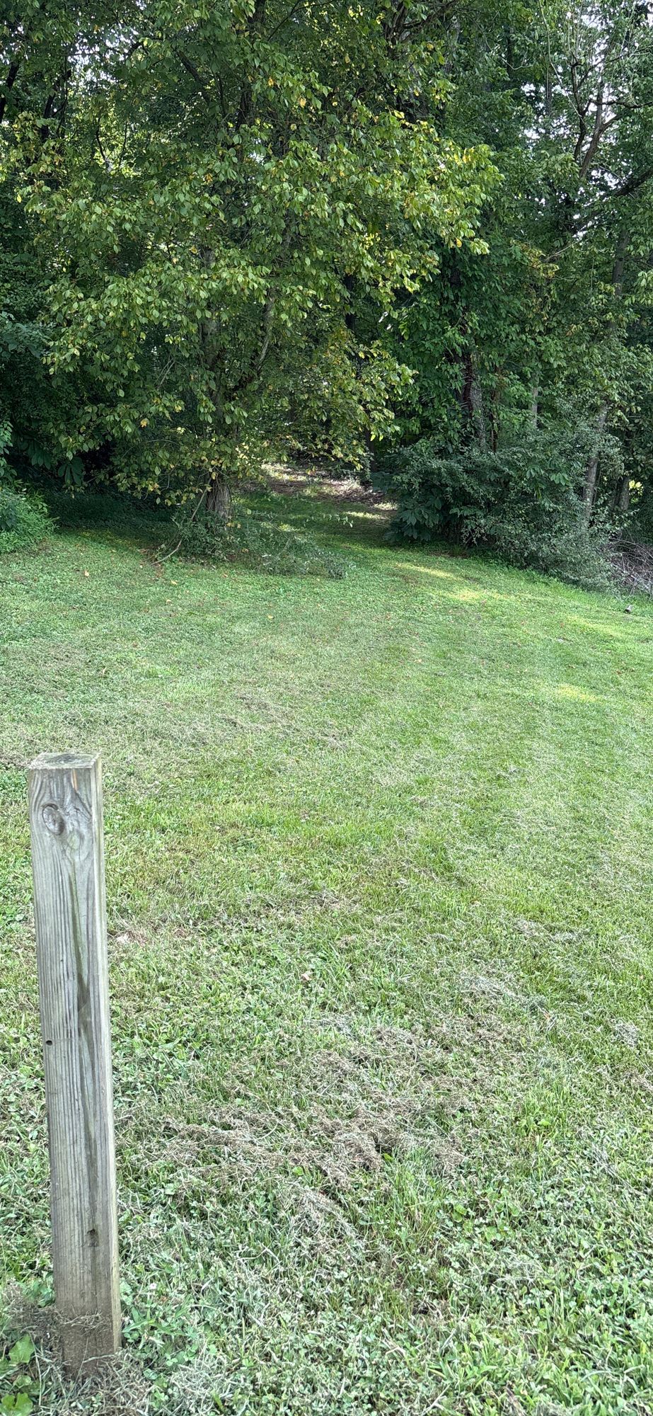 Tee box of Hole 2