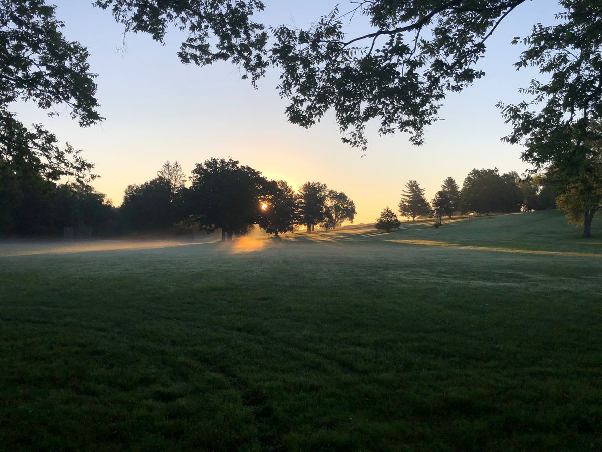 Discs fly well on misty mornings