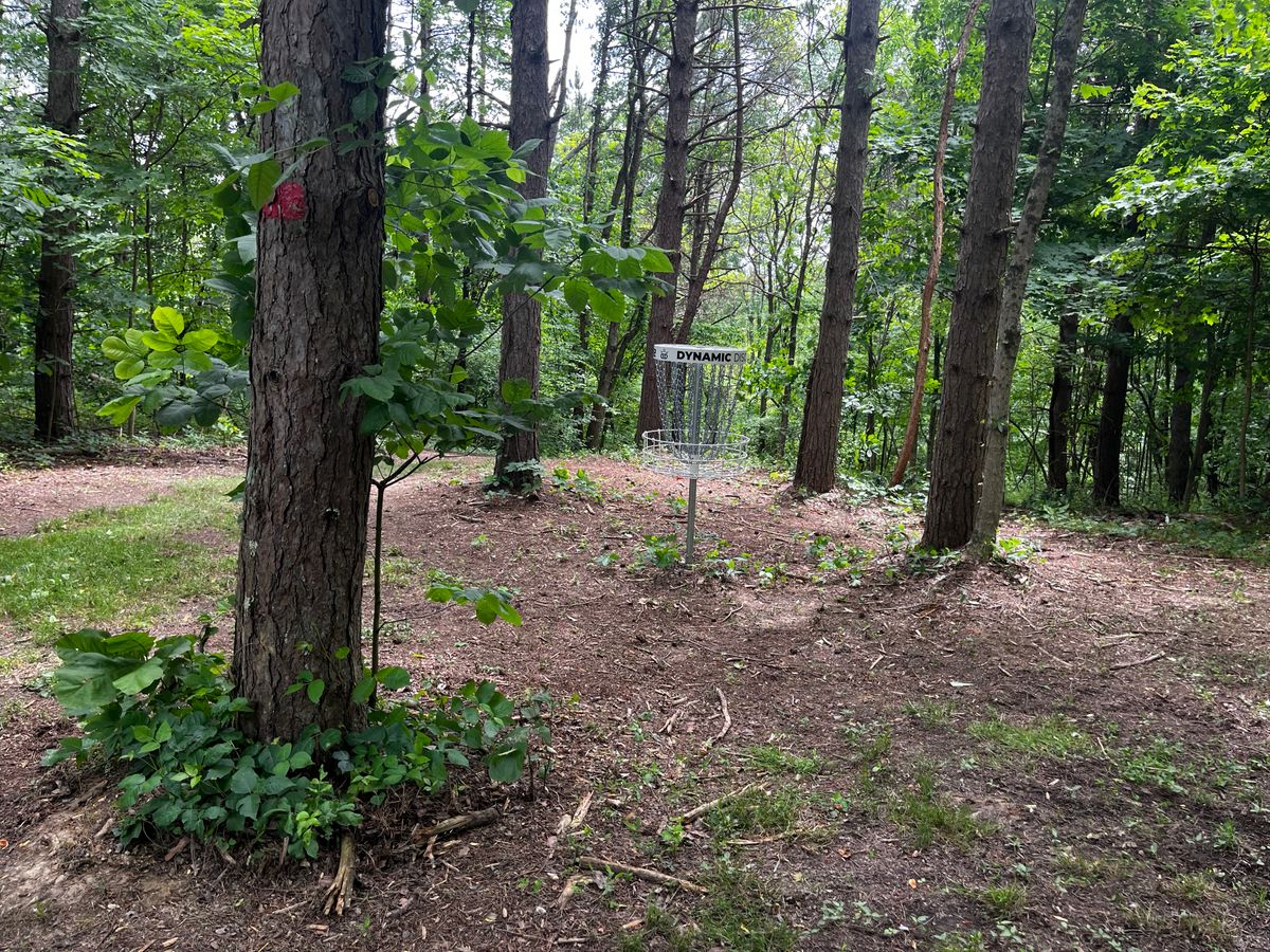 Hole 2 green