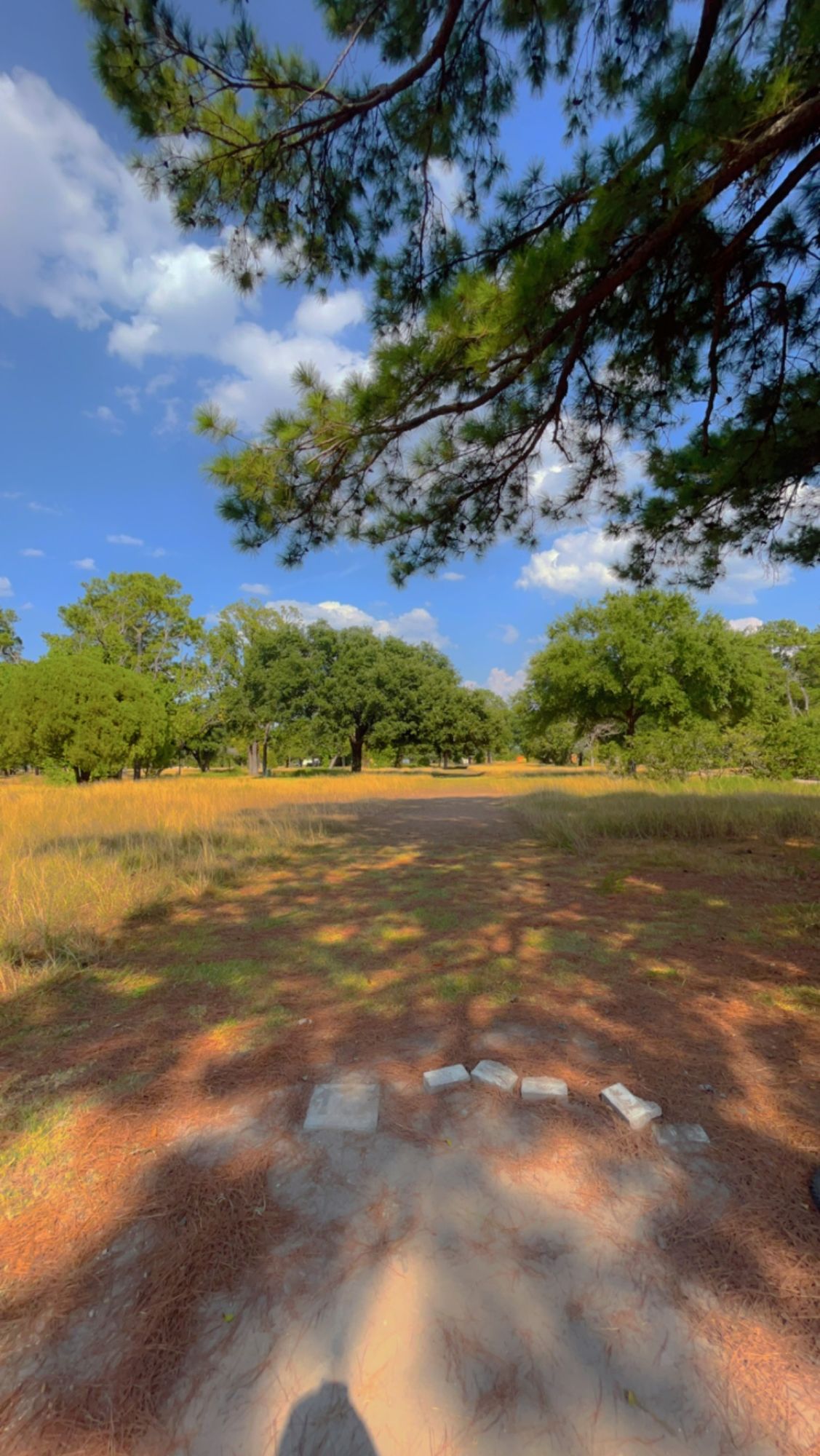 Hole 6 Short Tee