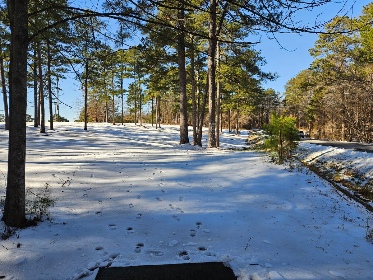 Hole 12, 1/12/25