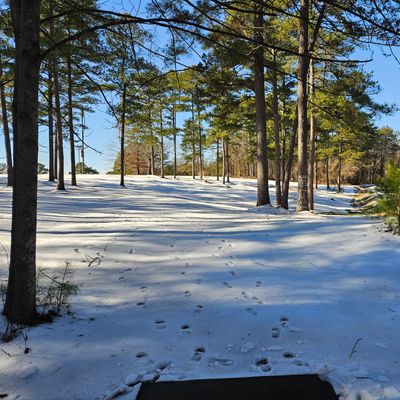 Hole 12, 1/12/25