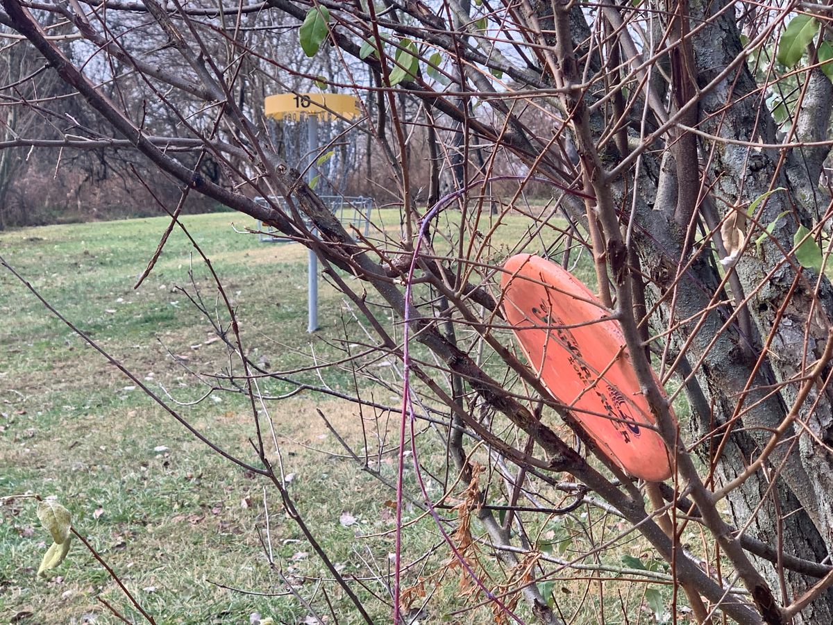 Hole 10- watch out for that tree:)
