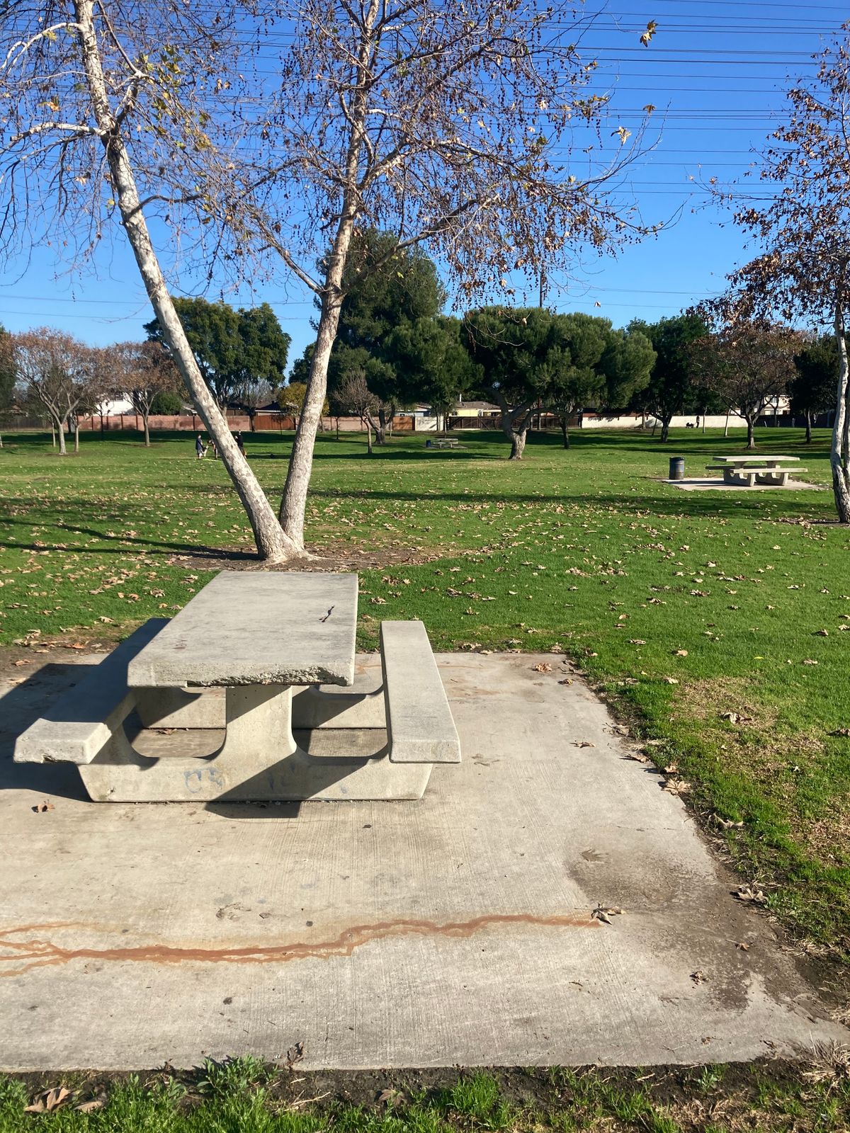 Hole 6 teepad