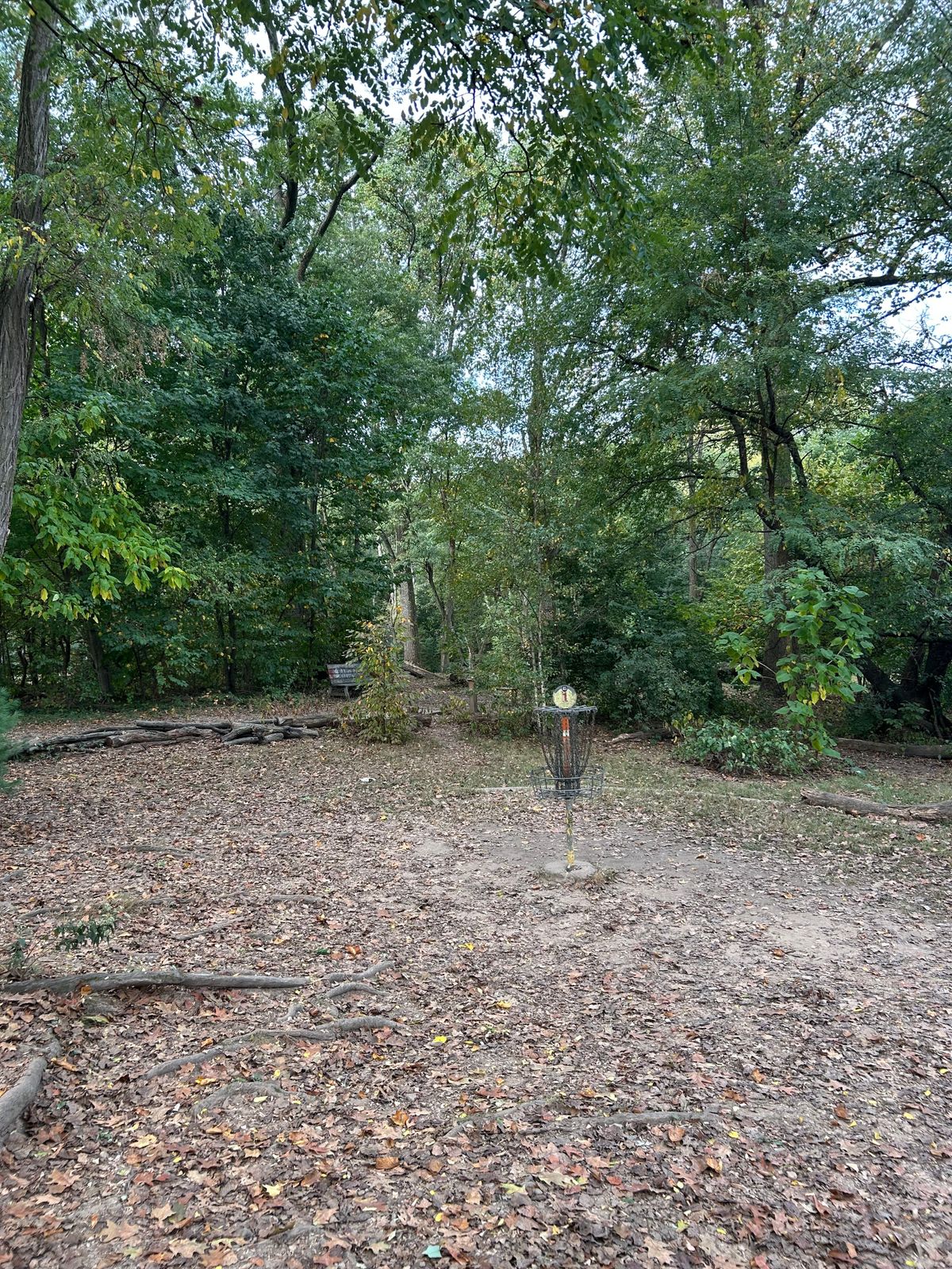 Hole 1 Basket
