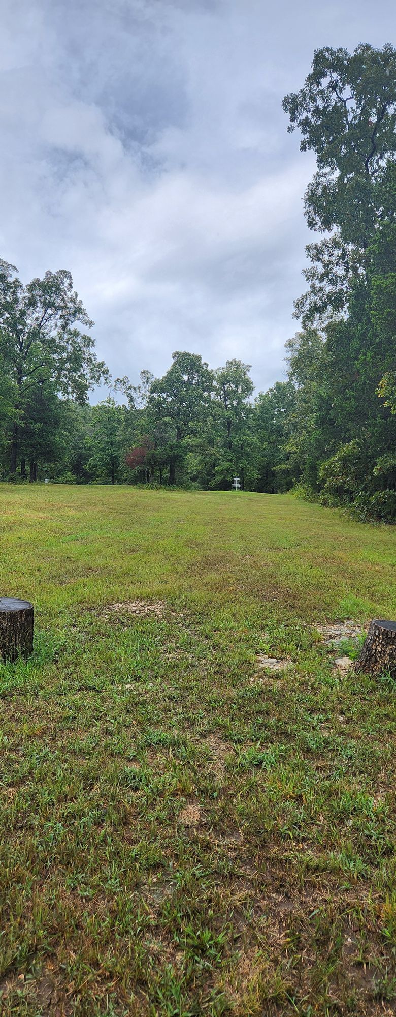 Hole 5