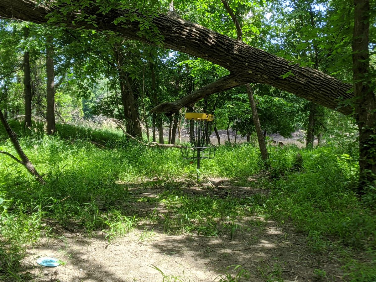 Hole 7 basket.