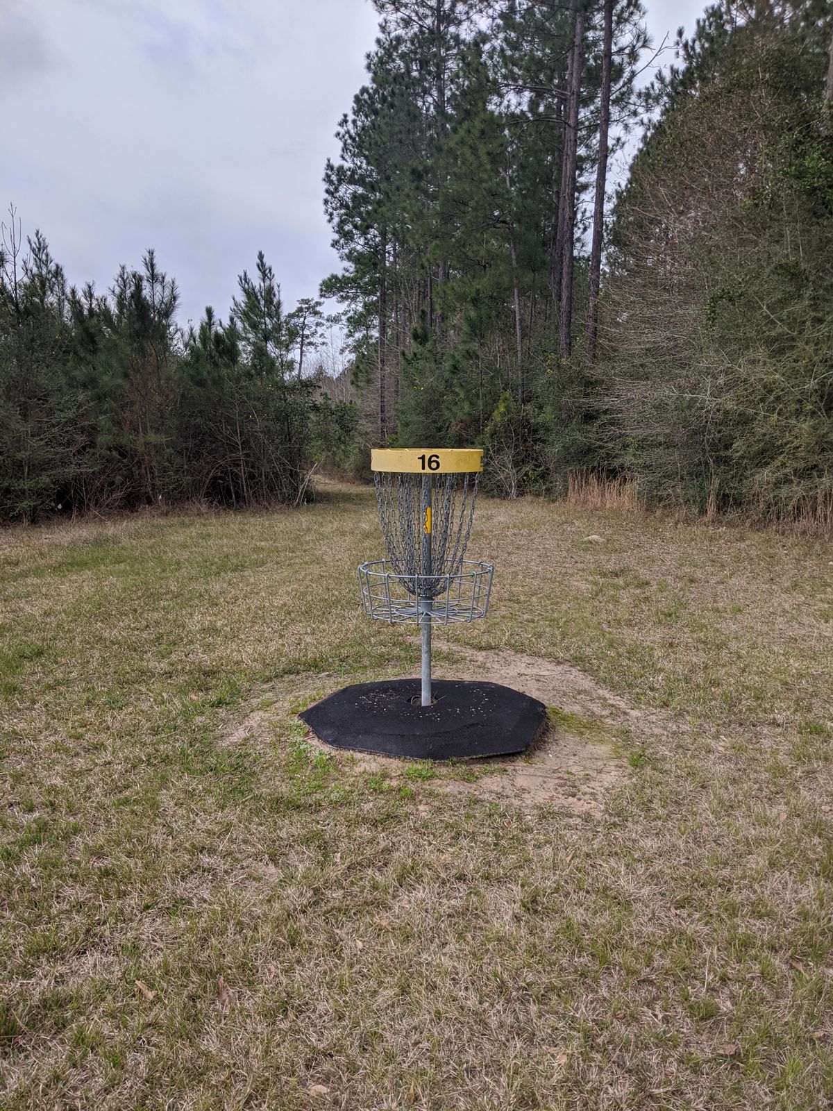 Hole 16 Basket