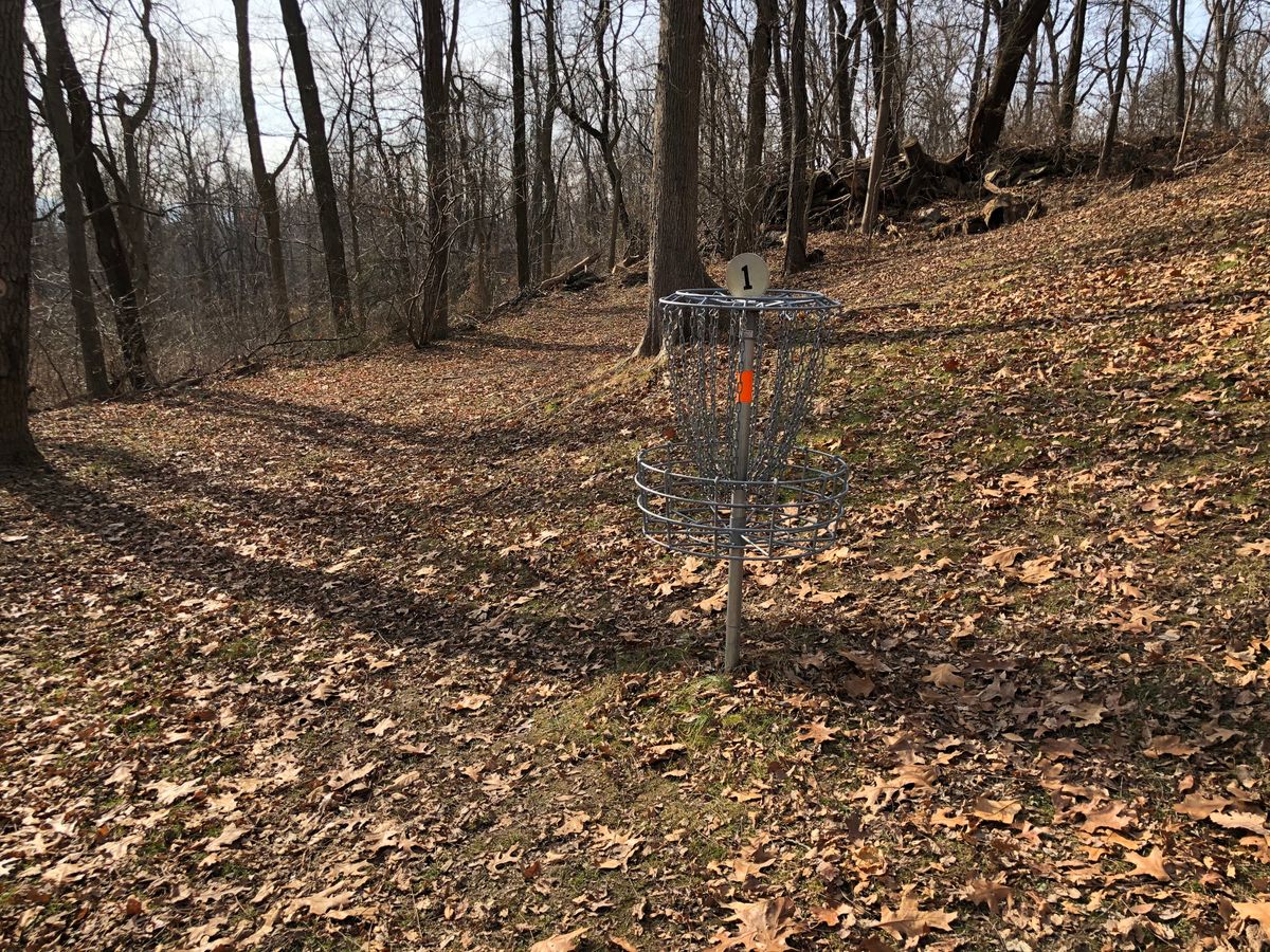 Hole 1 Basket