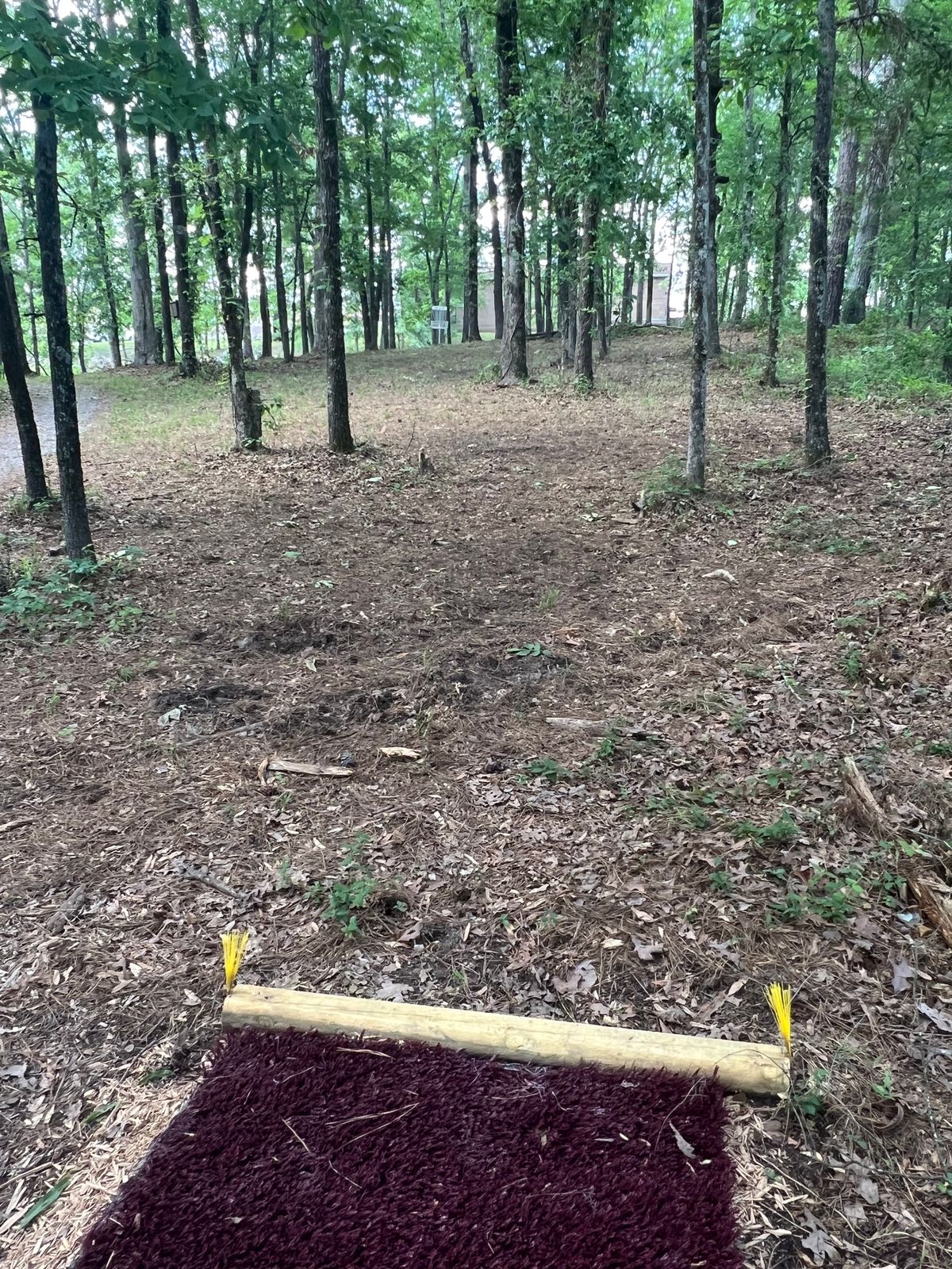 Hole 9 tee pad and basket. 126 feet