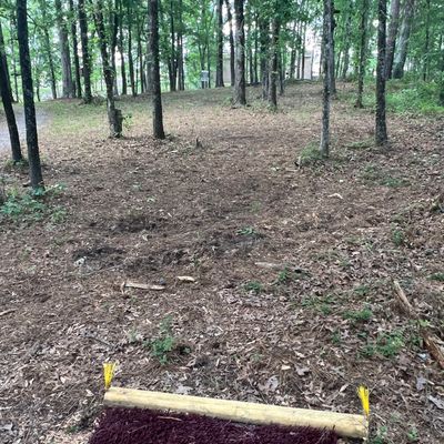Hole 9 tee pad and basket. 126 feet