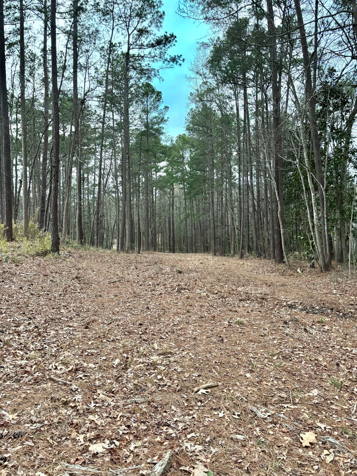 Hole 17 Approach