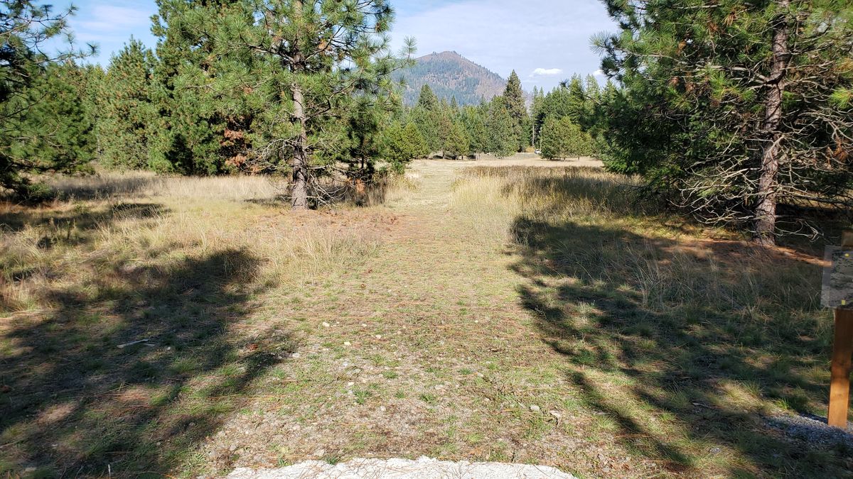 Tee pad hole 18