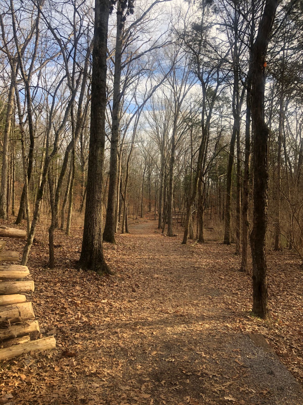 Hole 7