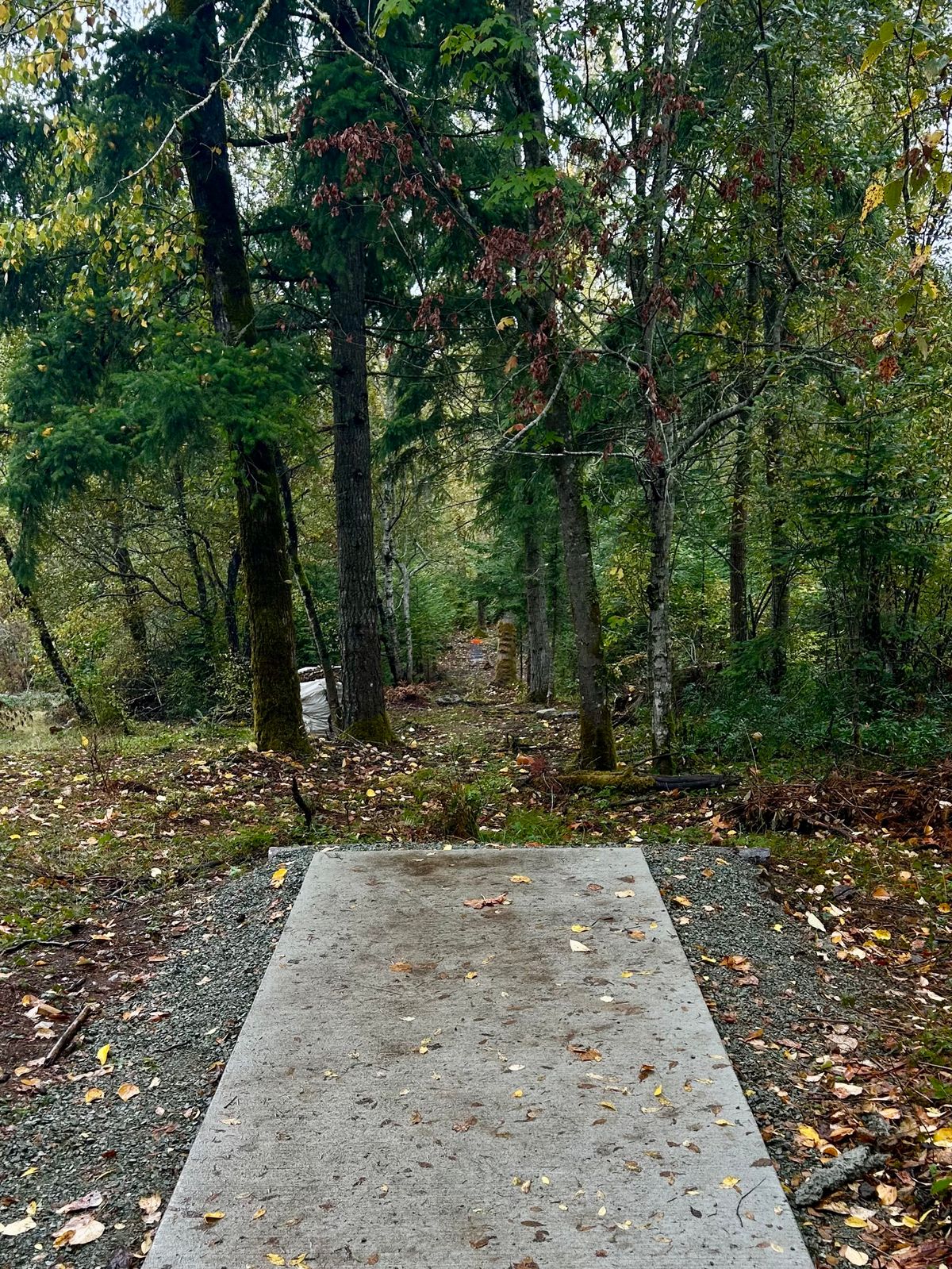 Hole 2 Red