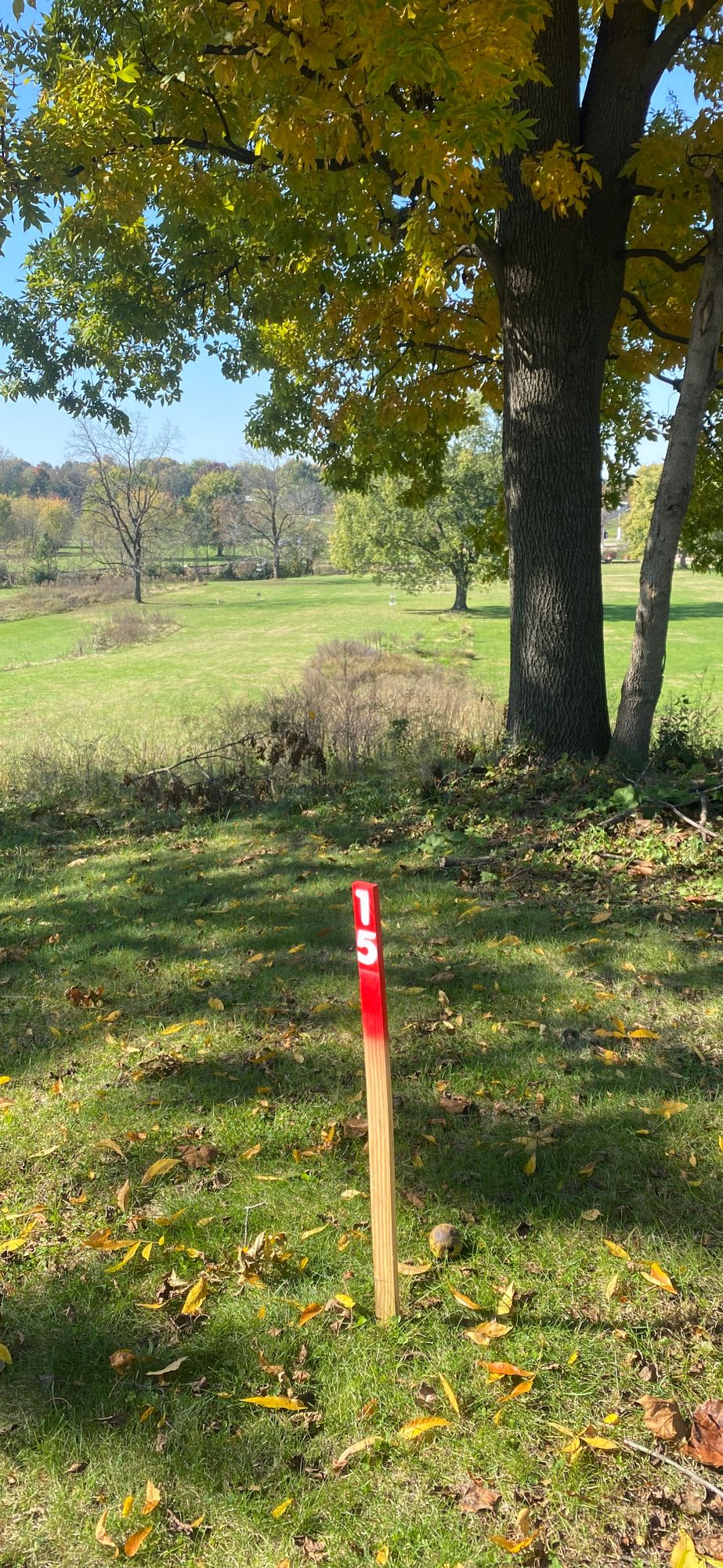 Hole 15