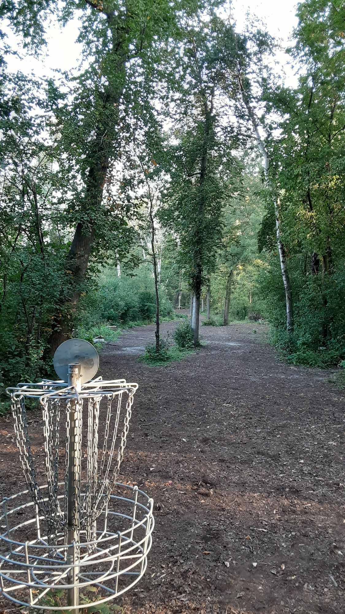 Looking back towards tee of 9.