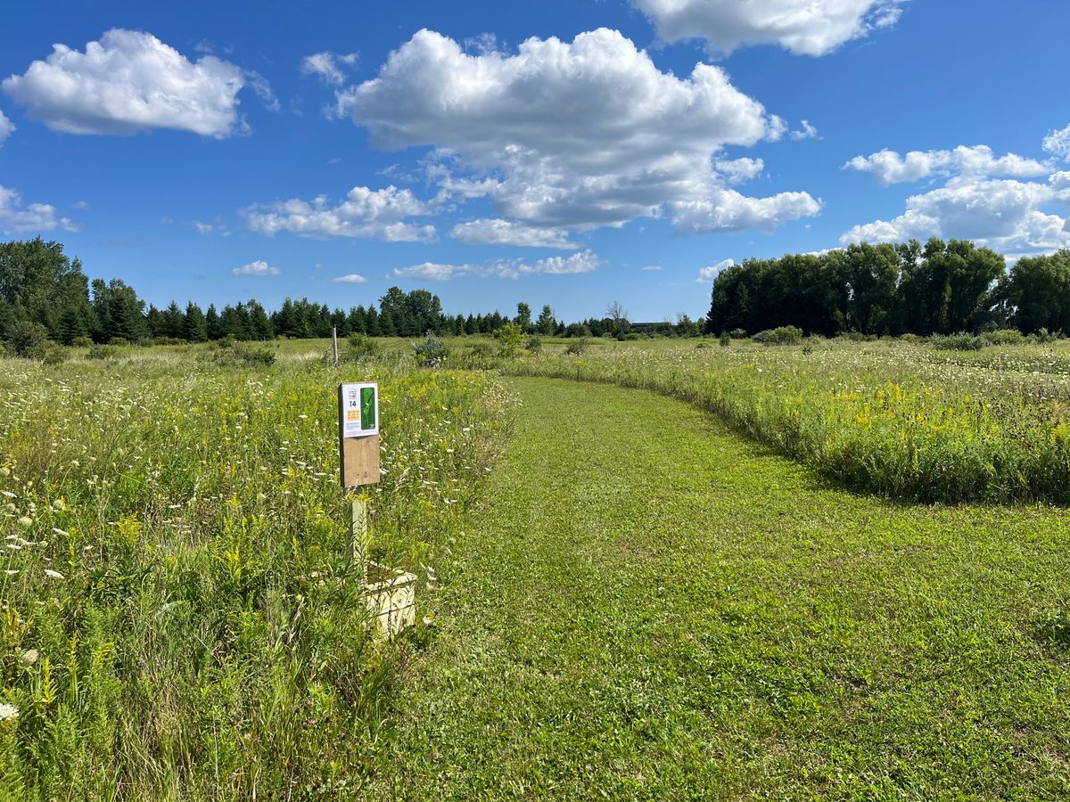 Hole 14 tee