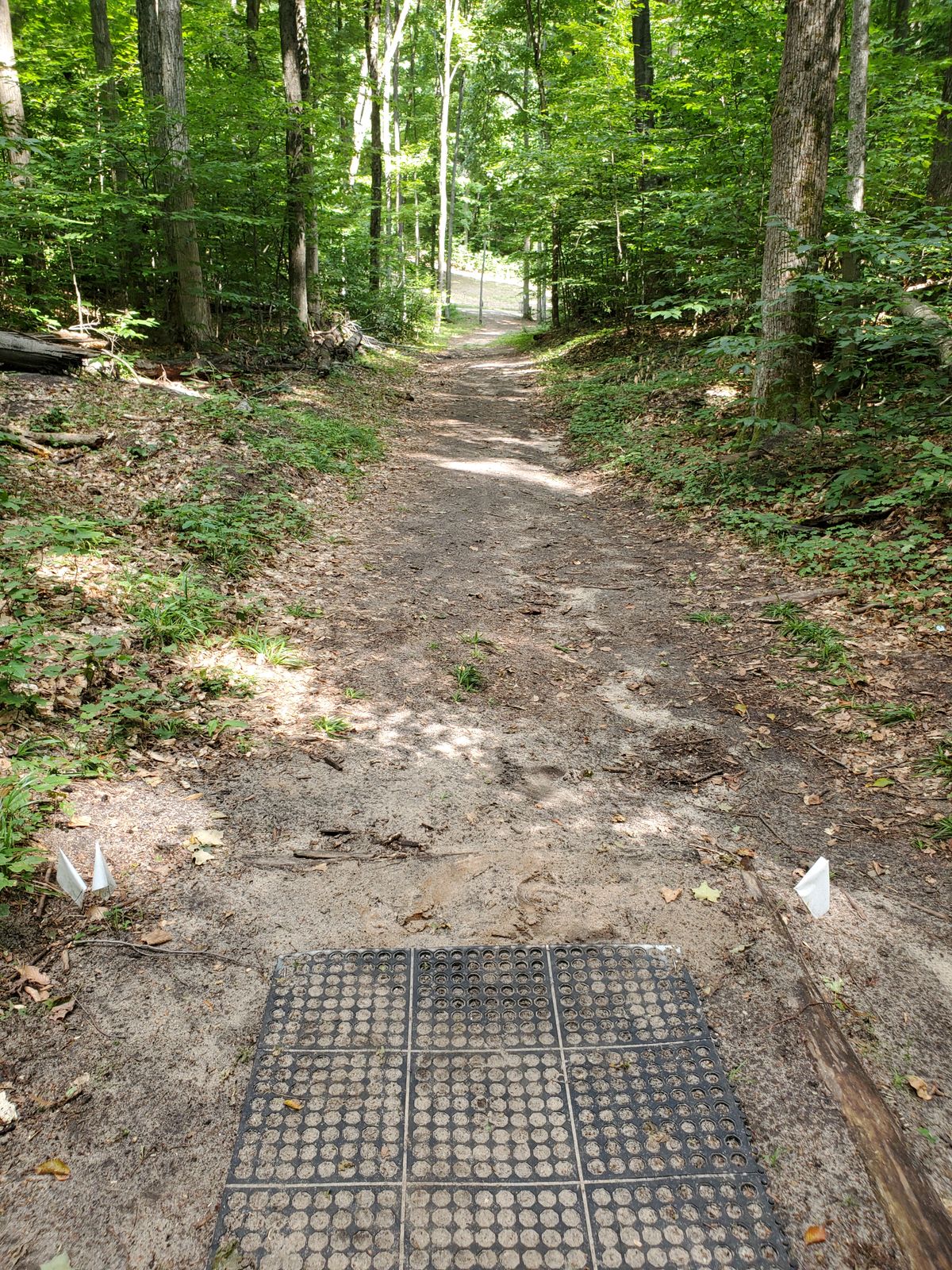 Hole 4 tee pad