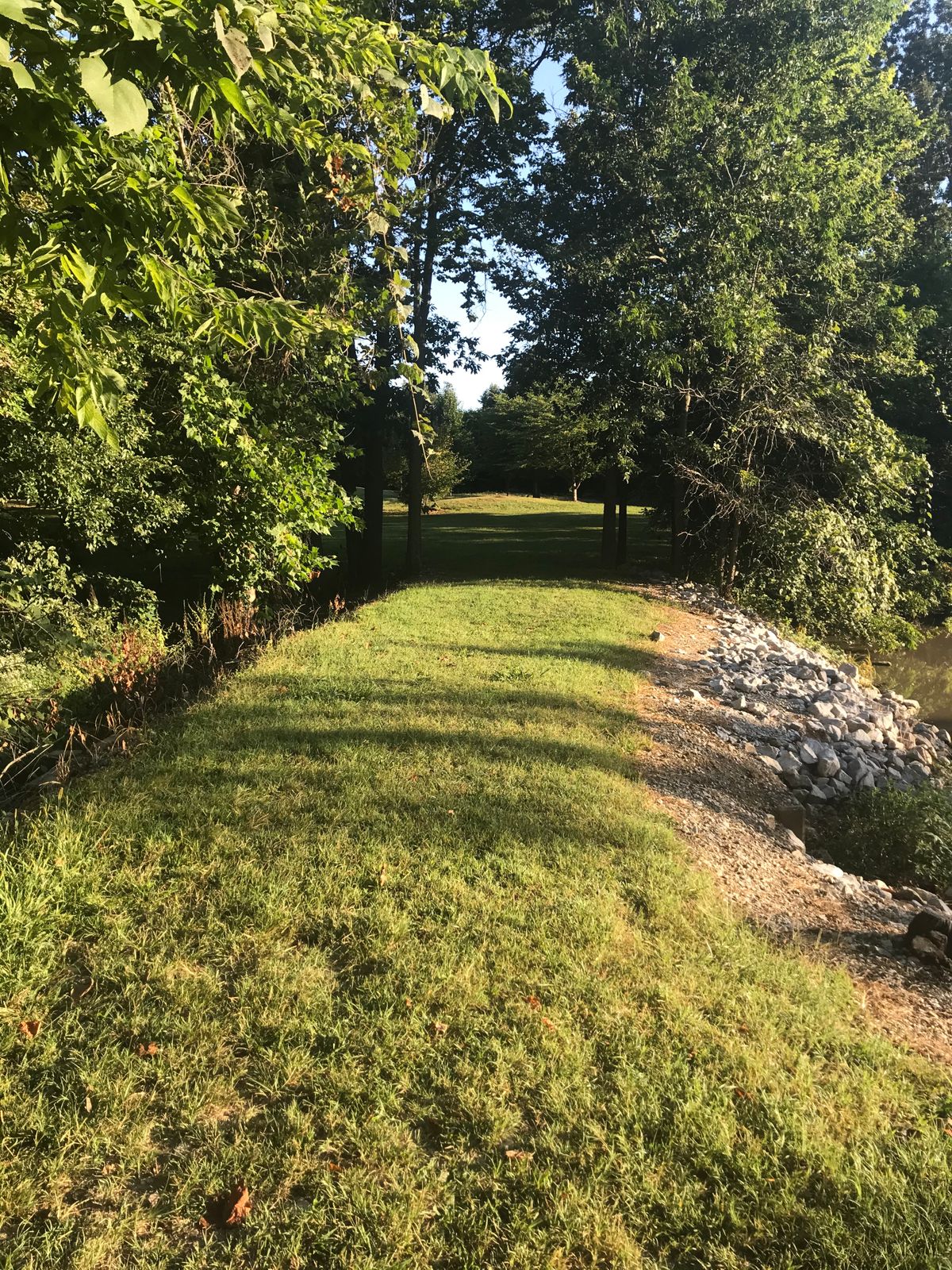 Hole 8 (no tee)