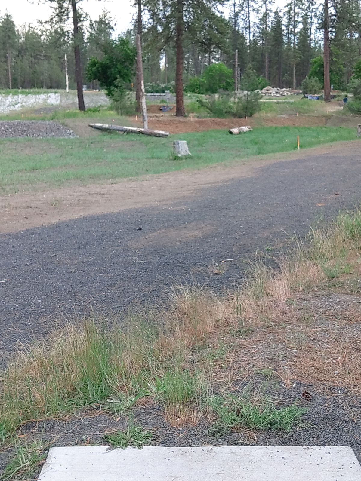 Teepad 12 short. if you do not cross the road re-tee.