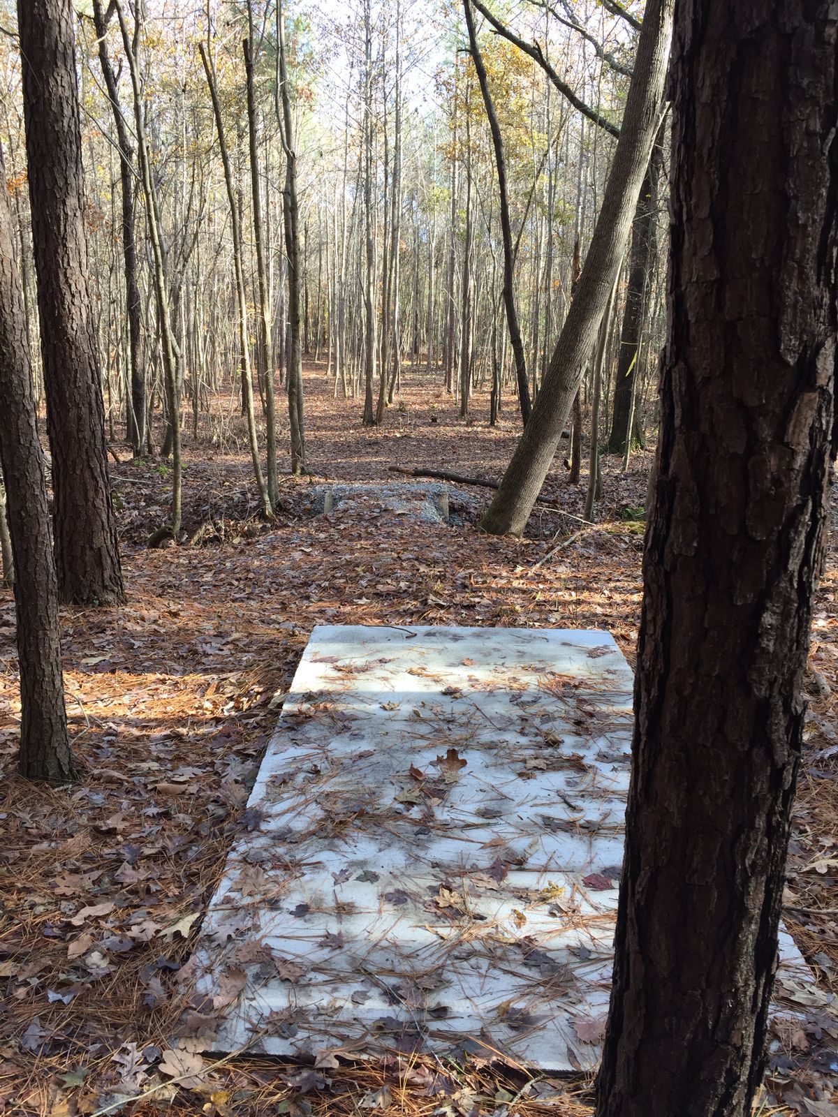 Hole #9 Tee