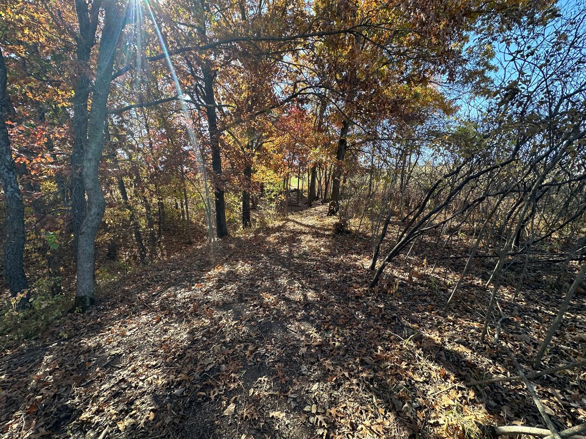 Hole 15. Tight wooded hole.
