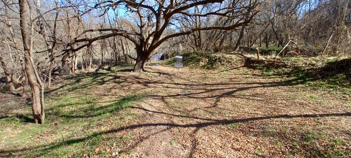 Hole 17 (The Fox Hole)