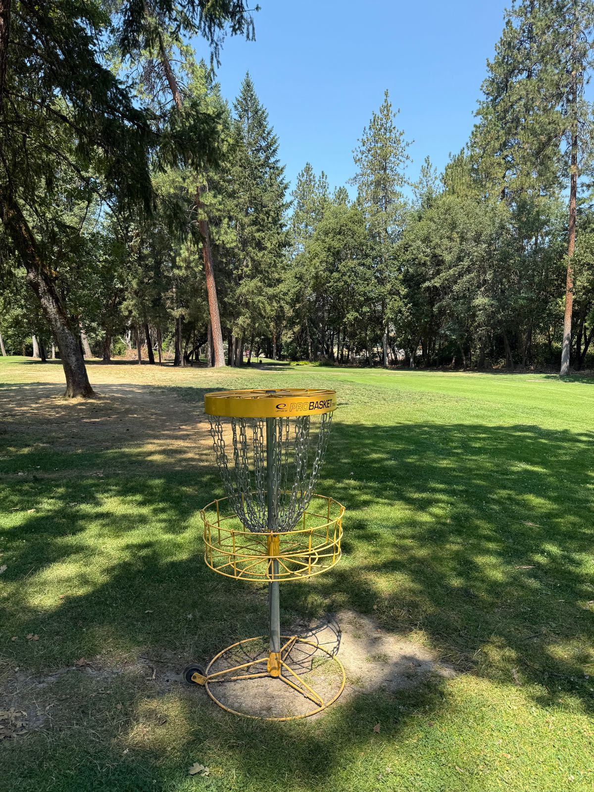 Hole 7 view to tee pad .