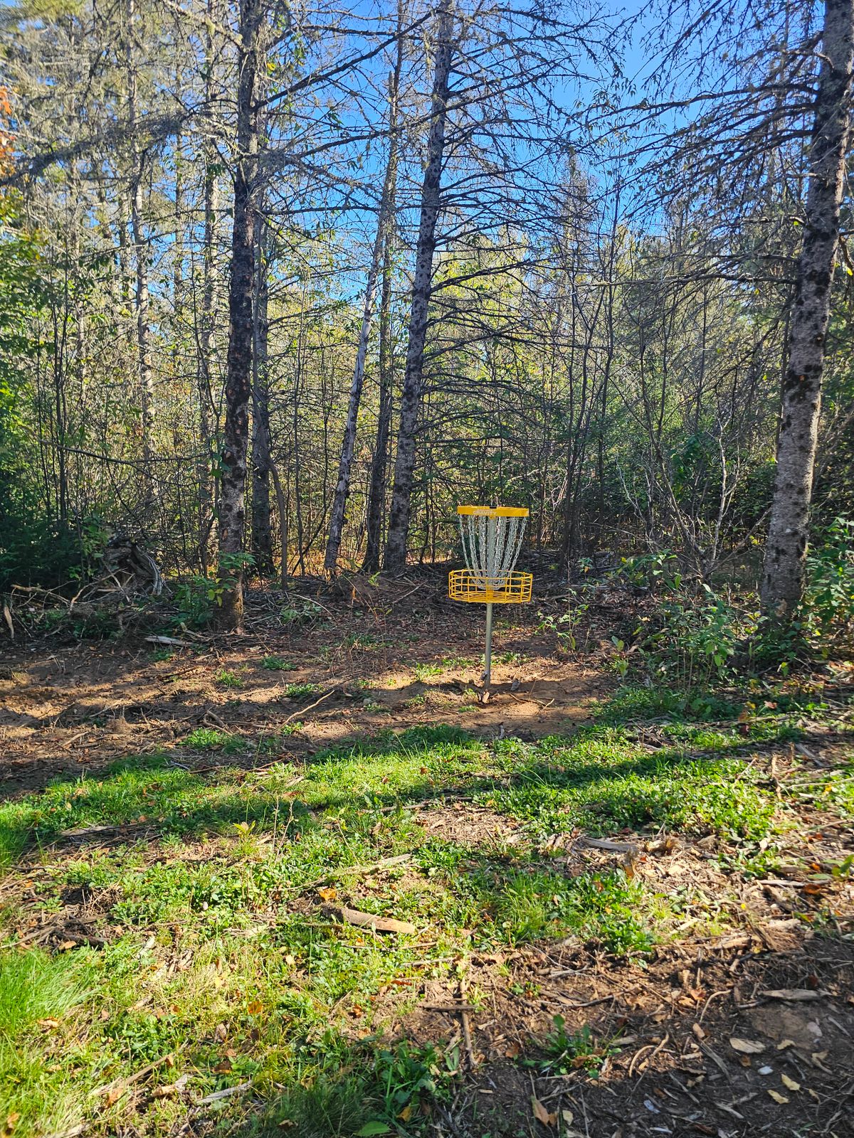 Hole 13