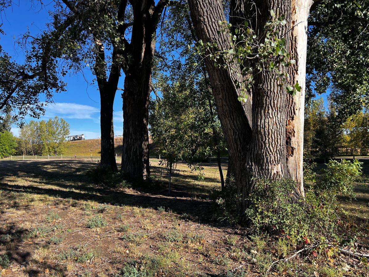 Basket Hole 5/14