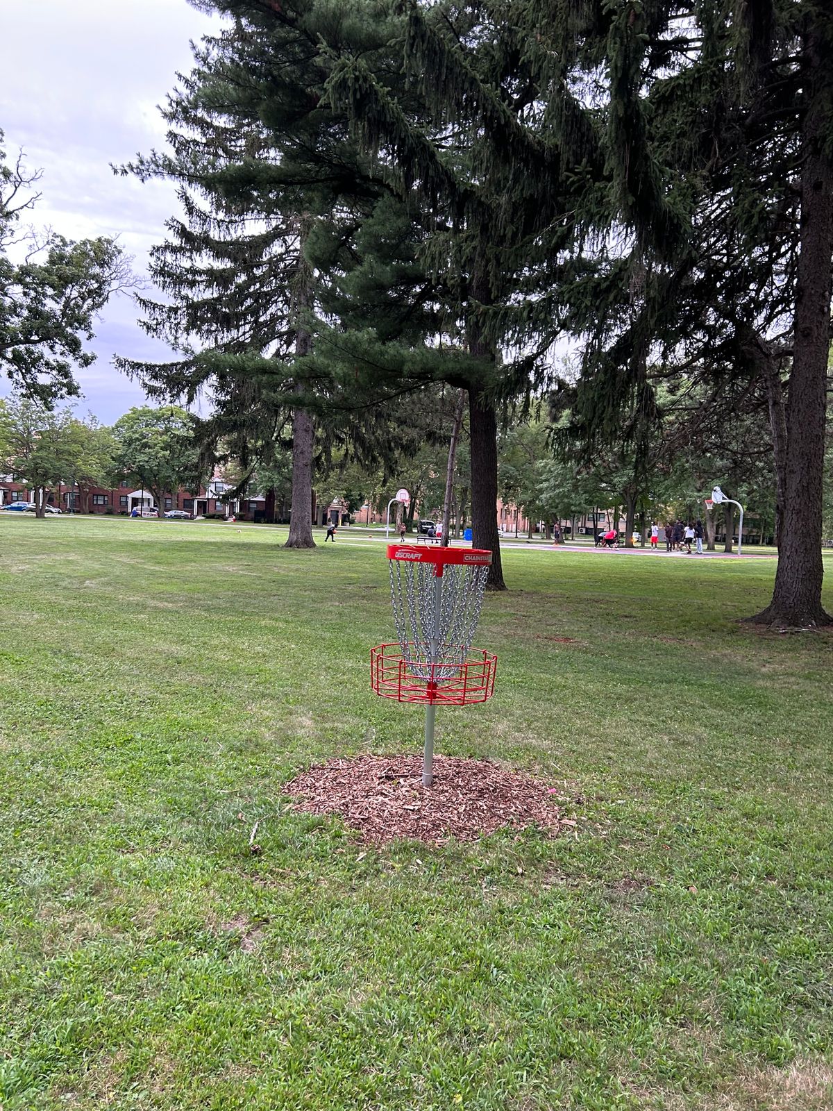 Hole 4 basket