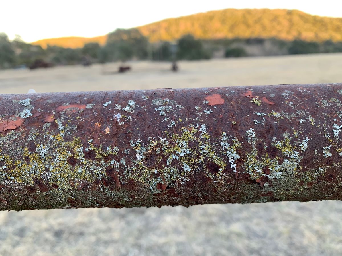 fence line patina looking at hole 18’s raised basket